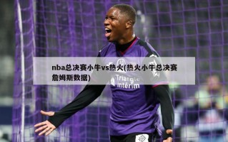 nba总决赛小牛vs热火(热火小牛总决赛詹姆斯数据)