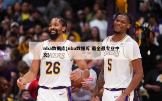 nba数据库(nba数据库 最全最专业中文)